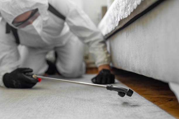 Professional Bed Bug Control technician working in South Pekin, IL