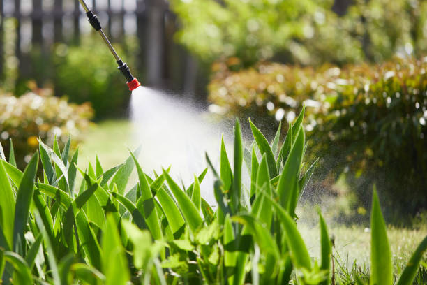 24/7 Emergency Bed Bug Control experts in South Pekin, IL