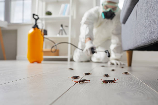 Trusted Rodent Control service in South Pekin, IL - Nex Pest Control
